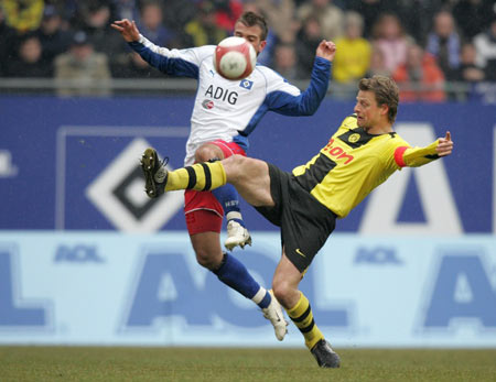 享有平等的 享有平等的